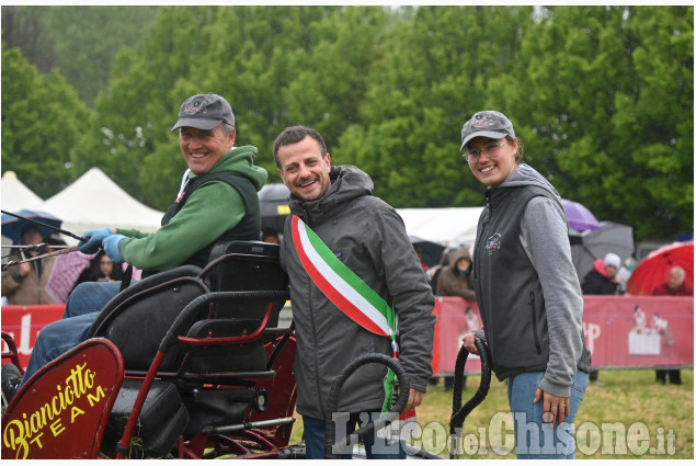 Pinerolo per la fiera di Primavera " Pinerolo in Sella"