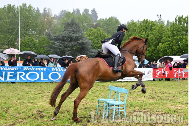 Pinerolo per la fiera di Primavera " Pinerolo in Sella"