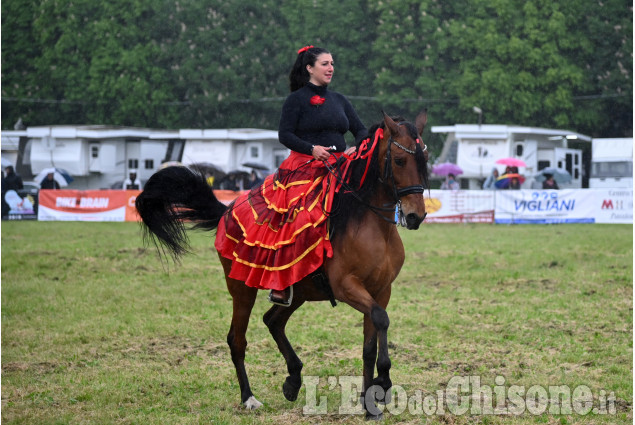 Pinerolo per la fiera di Primavera " Pinerolo in Sella"