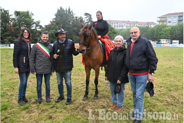 Pinerolo per la fiera di Primavera " Pinerolo in Sella"