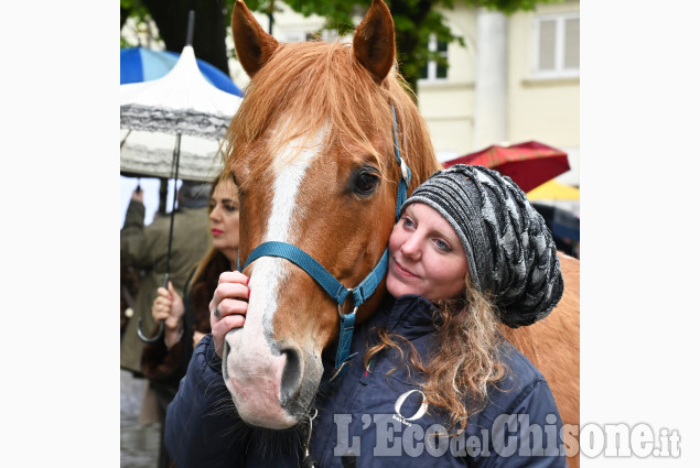 Pinerolo per la fiera di Primavera " Pinerolo in Sella"