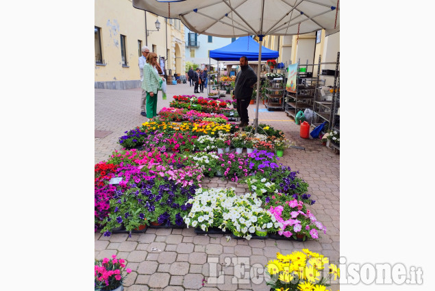 Cavour in fiore