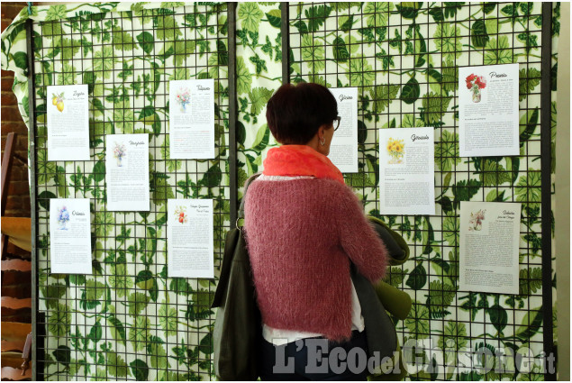 Vinovo: inaugurazione della mostra “Te lo dico con un fiore: Donna tu sei amore”