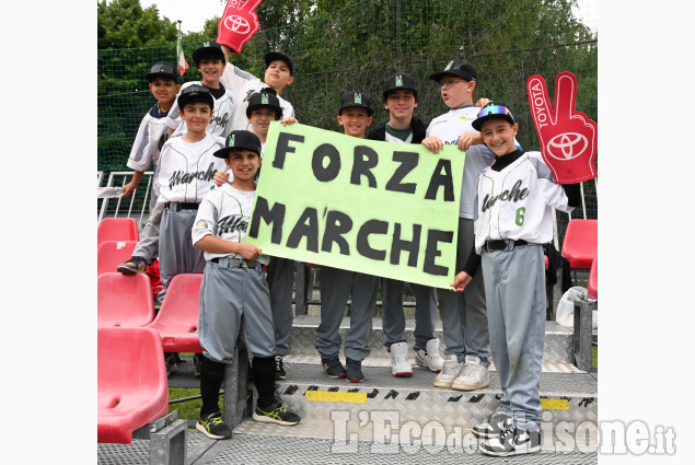 Pinerolo: Baseball, Torneo delle Regioni