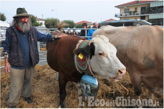 Bagnolo: un weekend di agricoltura e tradizione