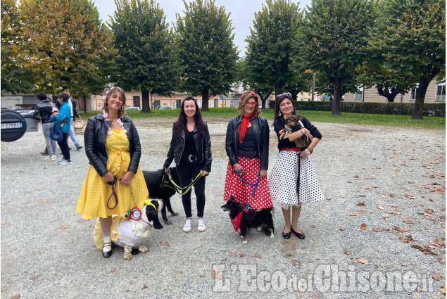 Bagnolo: un weekend di agricoltura e tradizione