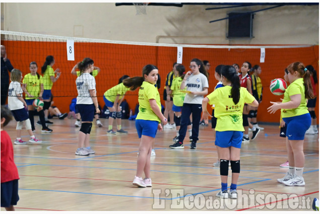 Minivolley al palazzetto dello sport di Pinerolo
