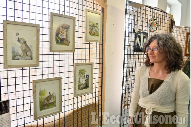 Frossasco: Mostra collettiva "C'e vita nel Bosco"