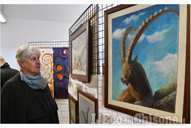 Frossasco: Mostra collettiva "C'e vita nel Bosco"