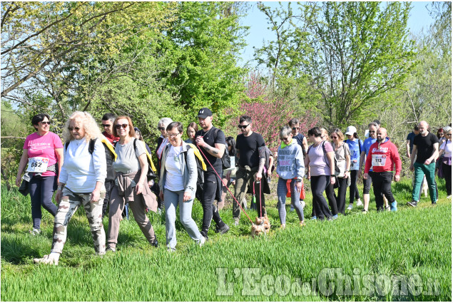 Grande successo alla Lions Walk di domenica scorsa