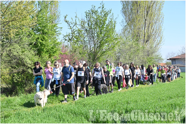 Grande successo alla Lions Walk di domenica scorsa