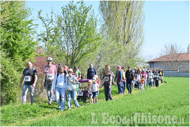 Grande successo alla Lions Walk di domenica scorsa