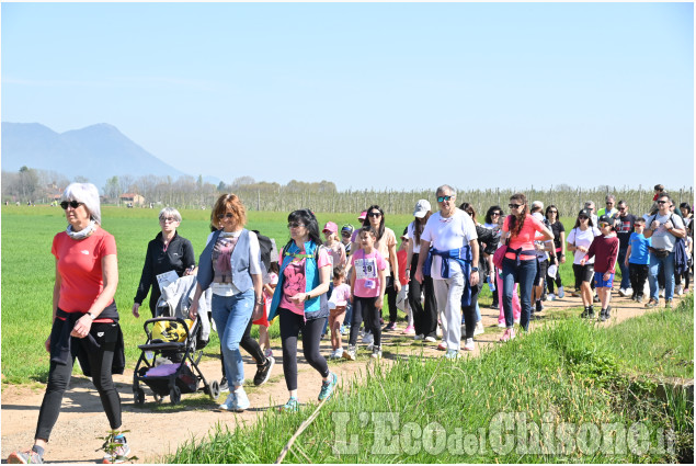 Grande successo alla Lions Walk di domenica scorsa