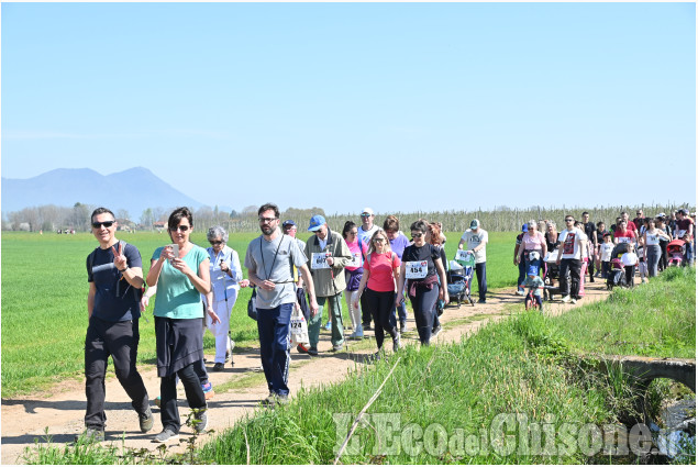 Grande successo alla Lions Walk di domenica scorsa