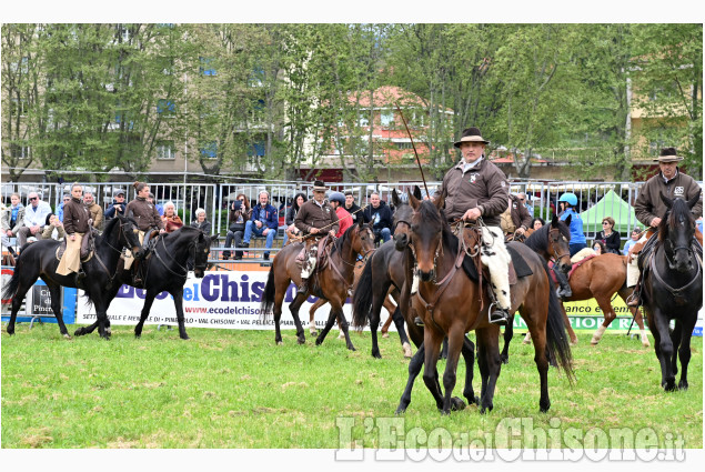 Pinerolo in sella, un grande successo