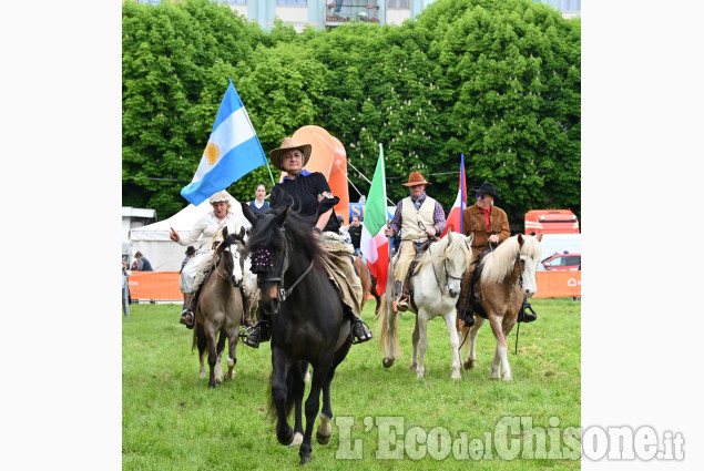 Pinerolo in sella, un grande successo