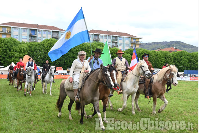 Pinerolo in sella, un grande successo