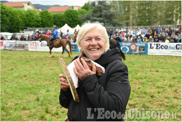 Pinerolo in sella, un grande successo