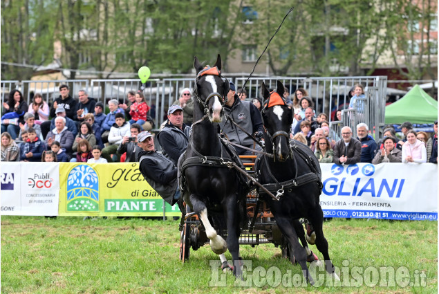 Pinerolo in sella, un grande successo