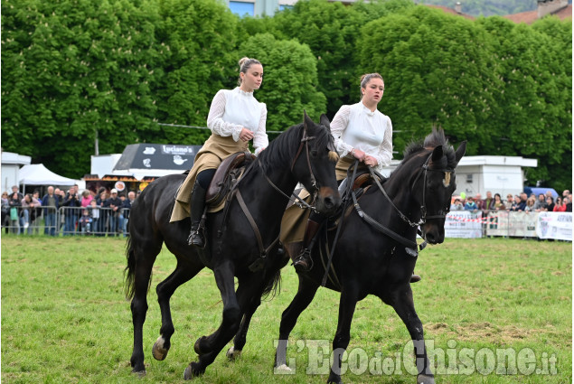 Pinerolo in sella, un grande successo