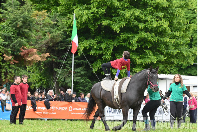 Pinerolo in sella, un grande successo