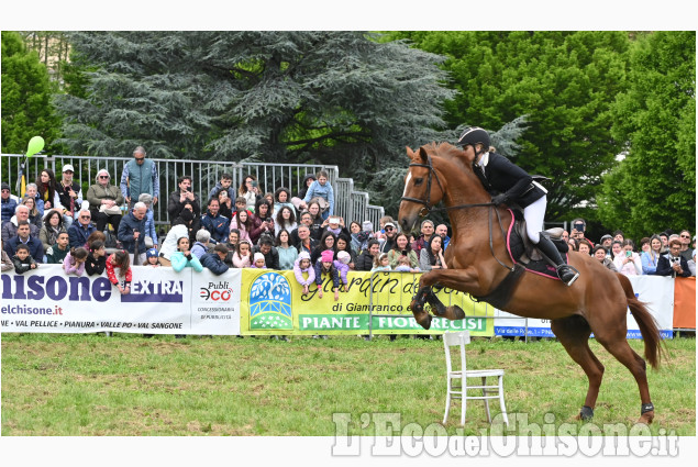Pinerolo in sella, un grande successo