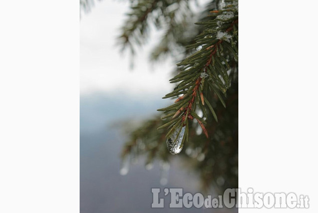 Inverno al Colle della Vaccera di Eleonora Cogno La foto vincitrice della settimana: i colori dell'autunno di Giacomo Abrate