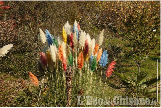 La foto vincitrice della settimana: i colori dell'autunno di Giacomo Abrate La foto vincitrice della settimana: i colori dell'autunno di Giacomo Abrate