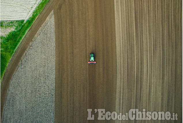 A None, una suggestiva semina d'aprile di Fabrizio Prelato La foto vincitrice della settimana: i colori dell'autunno di Giacomo Abrate