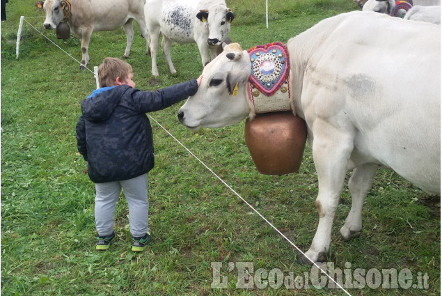 Bobbio Pellice: è nata un'amicizia di Mauro Bertetto La foto vincitrice della settimana: i colori dell'autunno di Giacomo Abrate