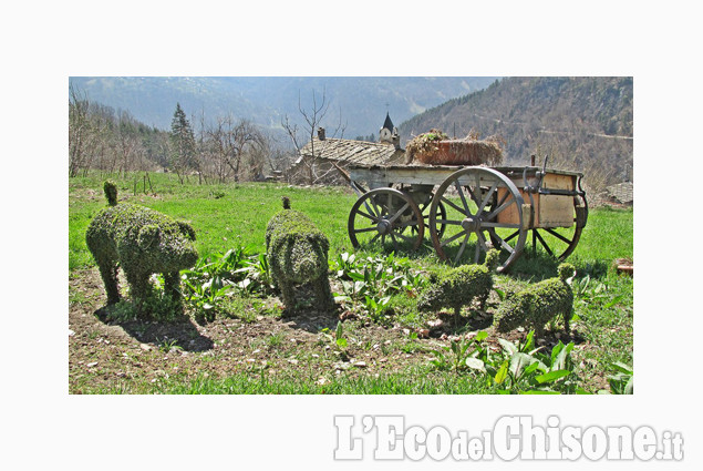 Val Germanasca: i maialini di Bovile di Vanni Avaro La foto vincitrice della settimana: i colori dell'autunno di Giacomo Abrate