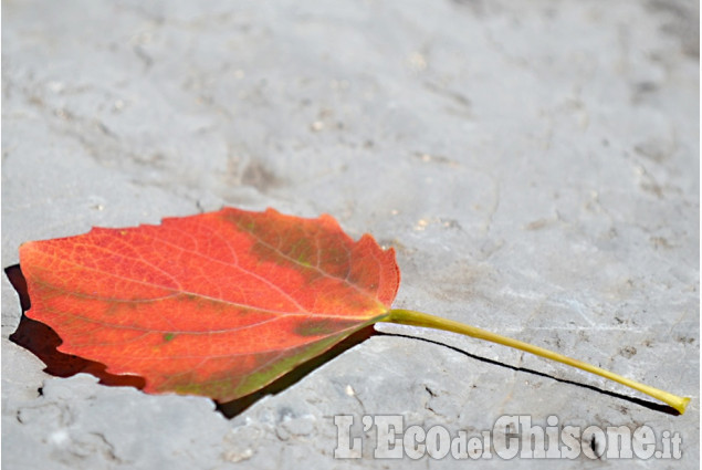 I colori dell'autunno di Giacomo Abrate La foto vincitrice della settimana: i colori dell'autunno di Giacomo Abrate
