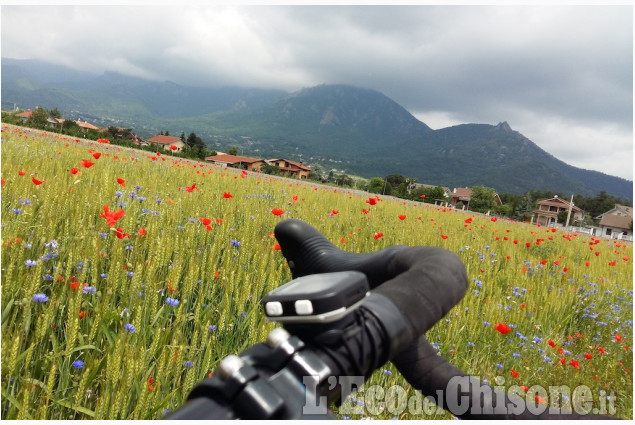 Papaveri lungo la pista ciclabile di Carlo Bianco La foto vincitrice della settimana: i colori dell'autunno di Giacomo Abrate