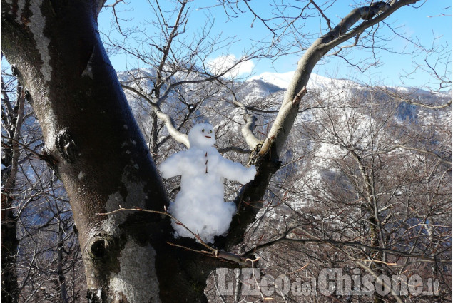 Cumiana, un pupazzo di neve sull'albero di Daniele Durando La foto vincitrice della settimana: i colori dell'autunno di Giacomo Abrate