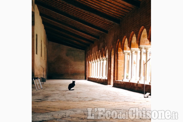 Revello: come un Re nell'abbazia di Gianluca Tararbra La foto vincitrice della settimana: i colori dell'autunno di Giacomo Abrate