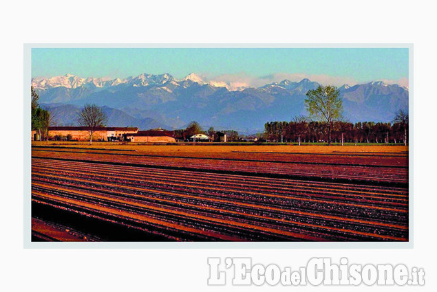 Pancalieri: "Terra madre" di Franco Senestro La foto vincitrice della settimana: i colori dell'autunno di Giacomo Abrate