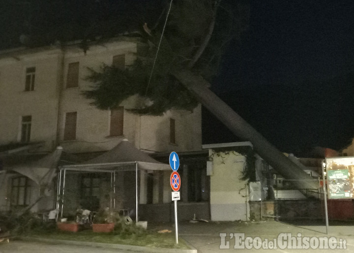 Torre Pellice: il vento abbatte grossi alberi in centro