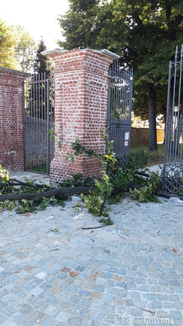 Bruino: albero abbattuto dal vento nel parco del castello