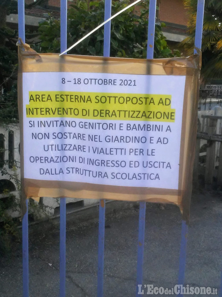 Vinovo: topi alla scuola materna, situazione in fase di risoluzione 