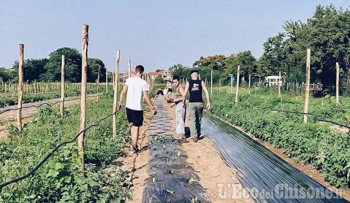 Rivalta: i ladri svaligiano cascina Mellano, rubati tutti i mezzi agricoli e uccise le galline dell'azienda