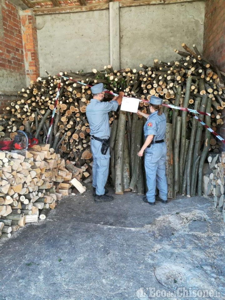 Cumiana: rubava legname in un bosco, denunciato 64enne