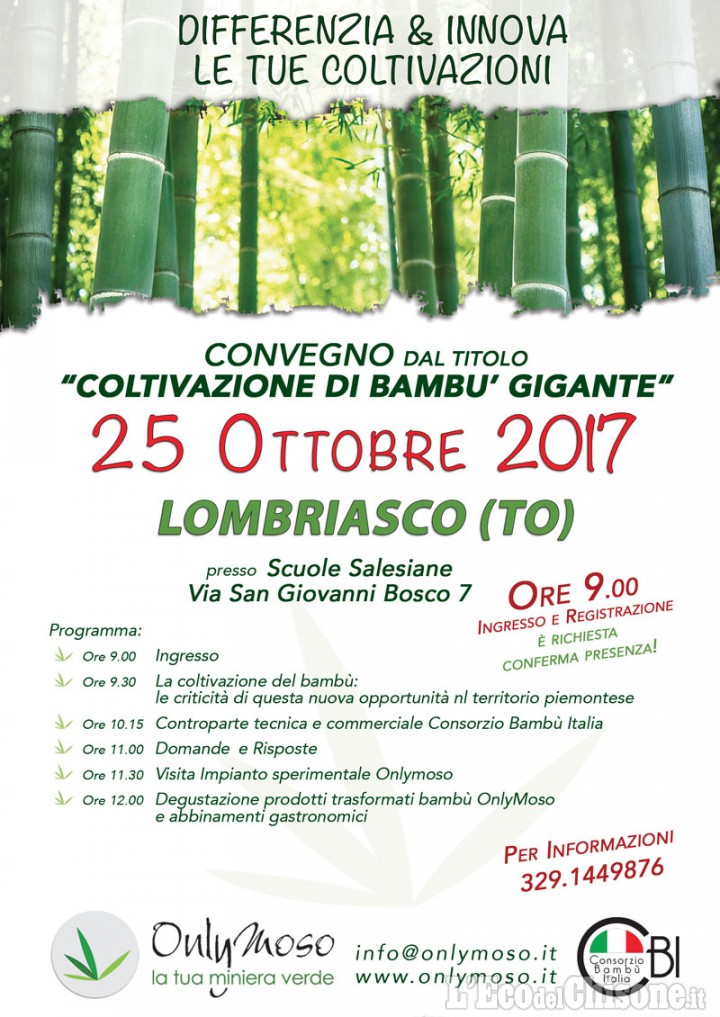 &quot;Coltivazione di bambù gigante&quot;: convegno a Lombriasco