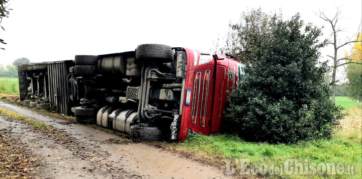 None: ribaltato camion che trasportava bovini