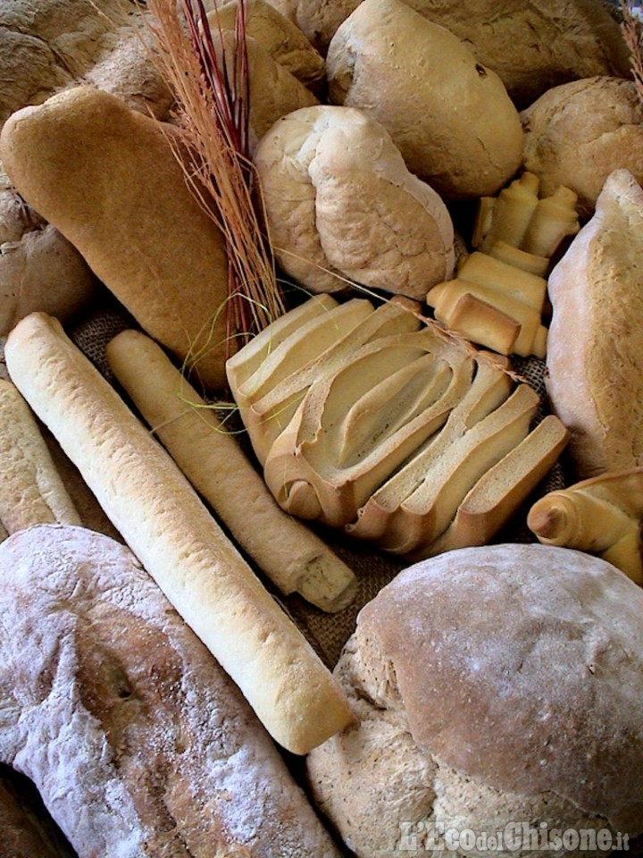 Buon pane e il fungo in festa al Colle