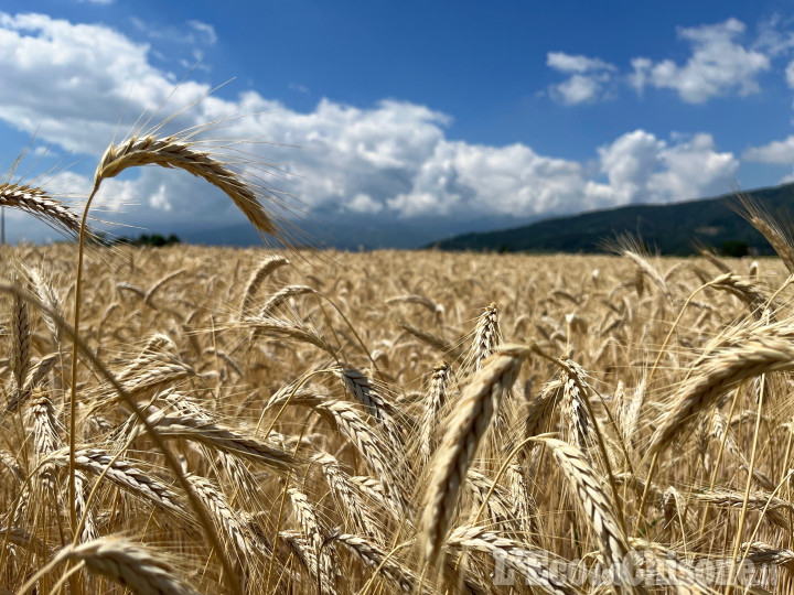 Agricoltori europei esentati da norme sui terreni a riposo