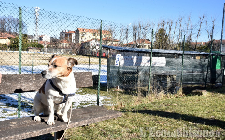 Pinerolo: alla Tabona l&#039;area sgambamento cani