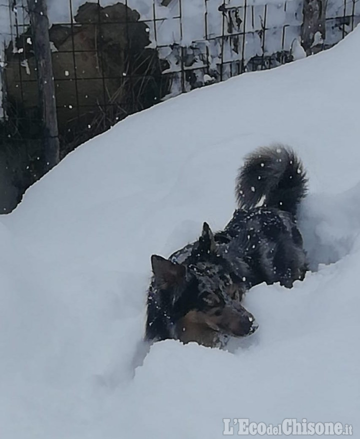 Neve in pianura, attesi altri 50 cm. nelle valli