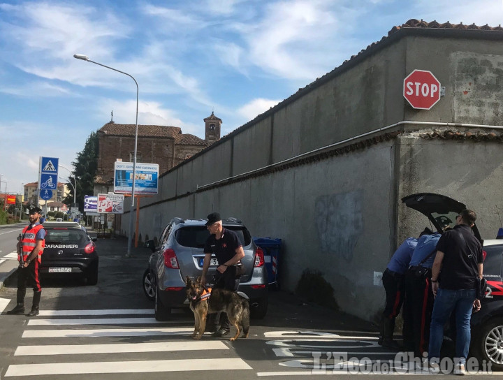 Saluzzo: controlli antidroga e ispezioni con le unità cinofile dei carabinieri