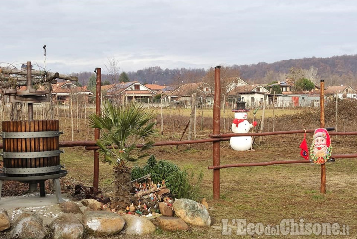 Bruino: vandali in azione, danneggiato l’addobbo natalizio nella vigna del Tokaj