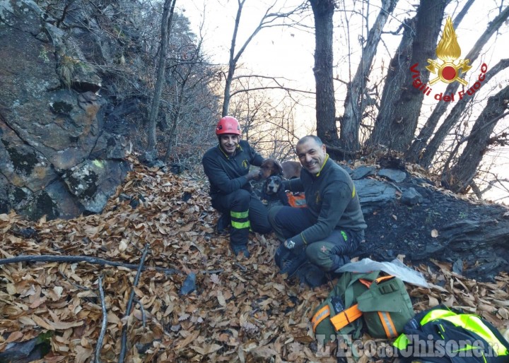 Pomaretto: cani da caccia intrappolati in una cava, salvati dai Vigili del fuoco